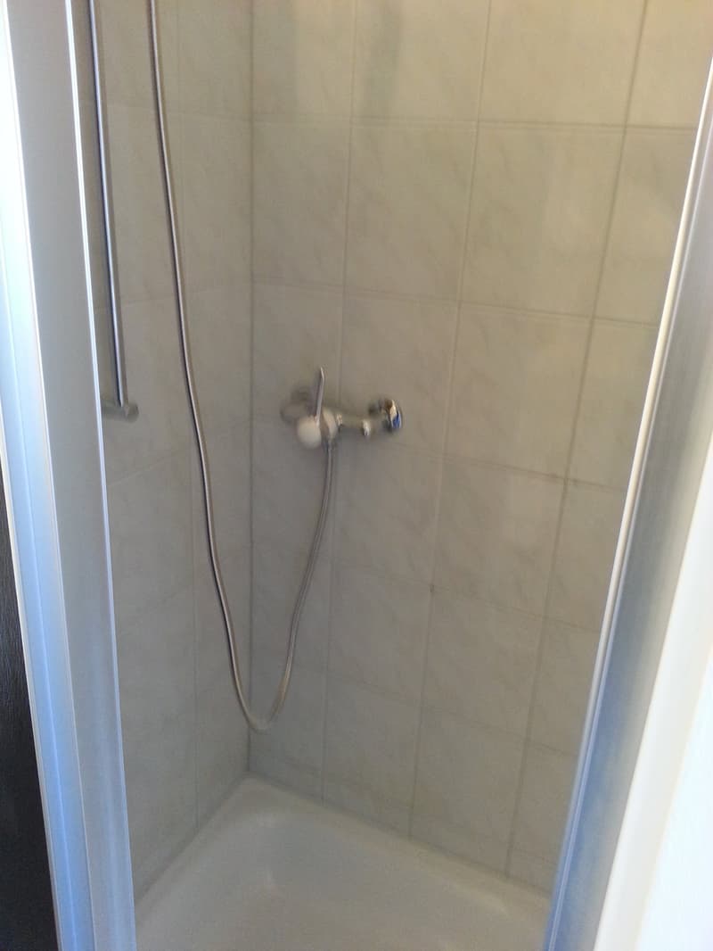 1-Zimmer-Wohnung in Niederwil zu vermieten (5)