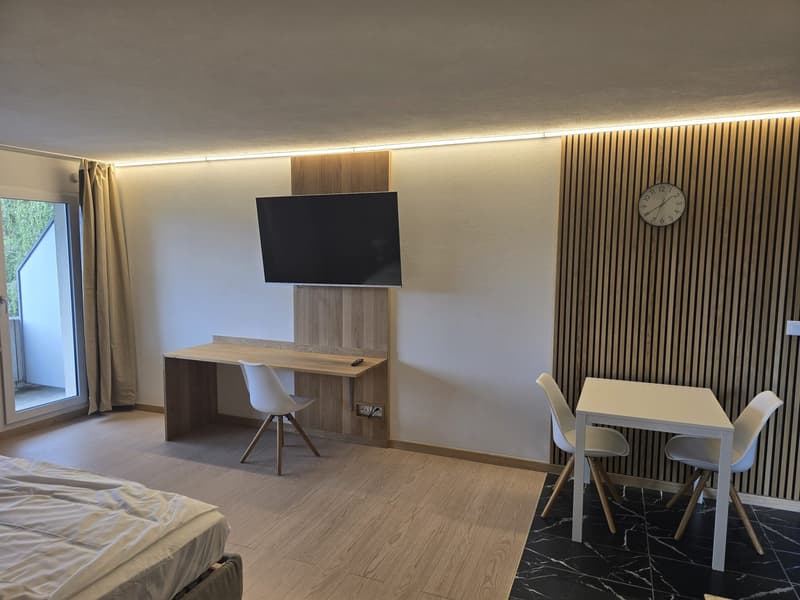 Modernes 1-Zimmer-Studio in Niederwil – neu renoviert 2026 (5)