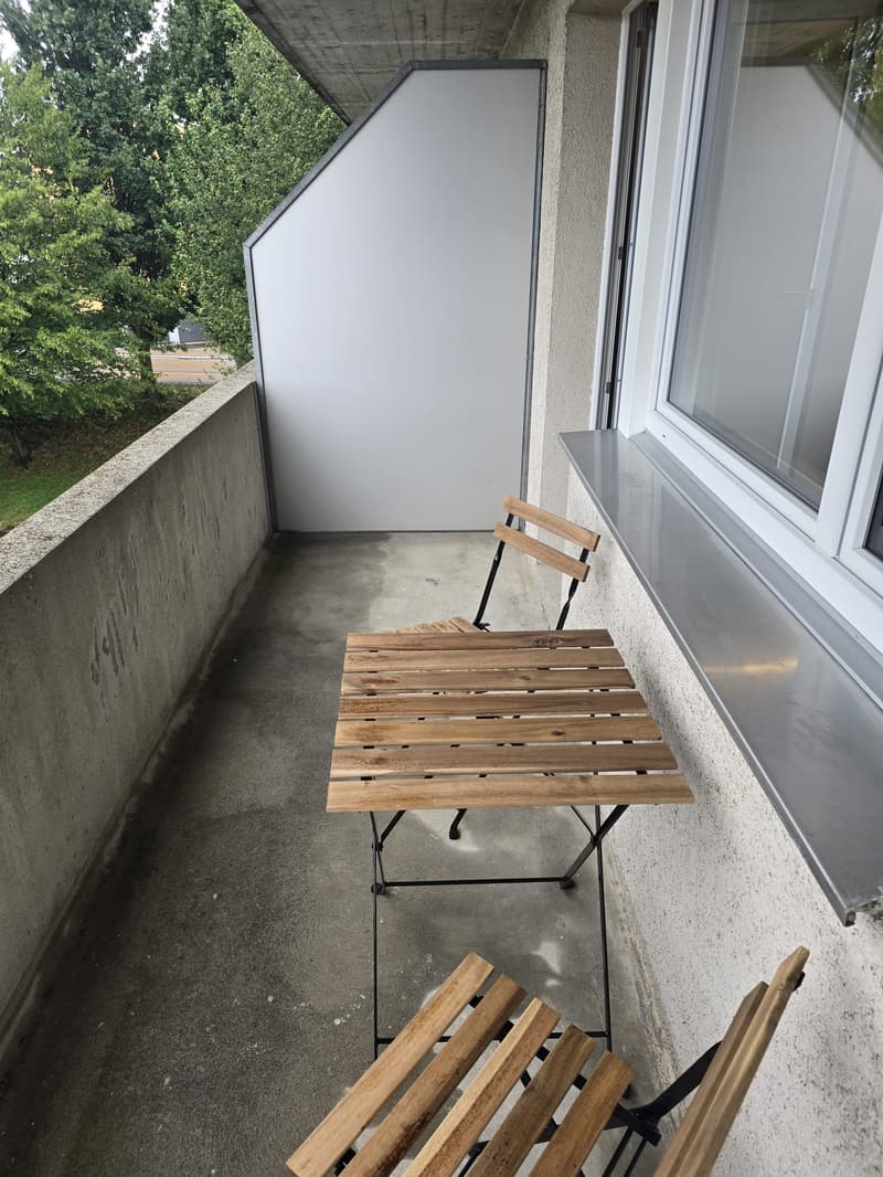 Modernes 1-Zimmer-Studio in Niederwil – neu renoviert 2026 (7)