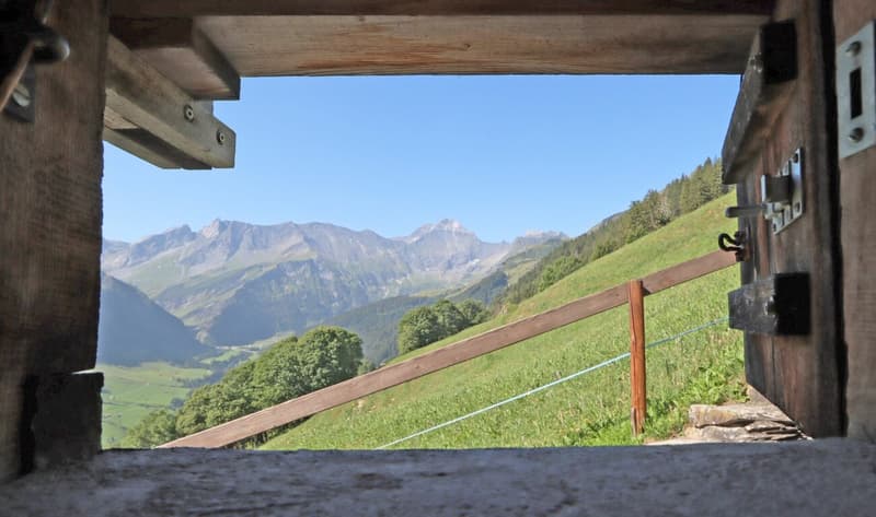 Aussicht Bad