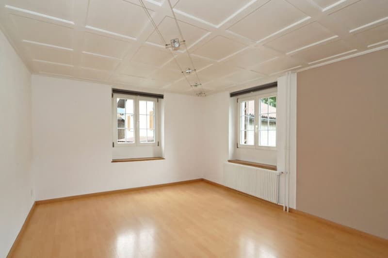 Zimmer HP