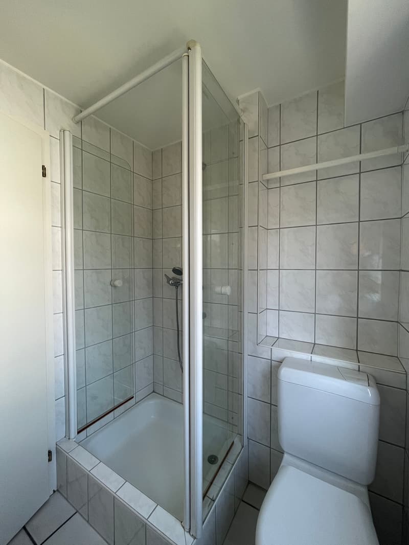 5.5-Zimmer-Maisonette-Wohnung inkl. Garage und Autoabstellplatz (6)