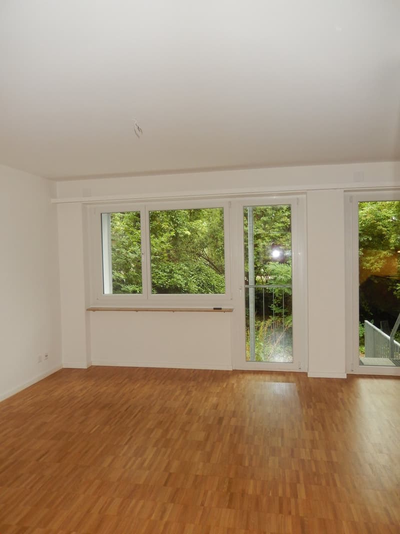 Wohntraum mitten in der City (11)