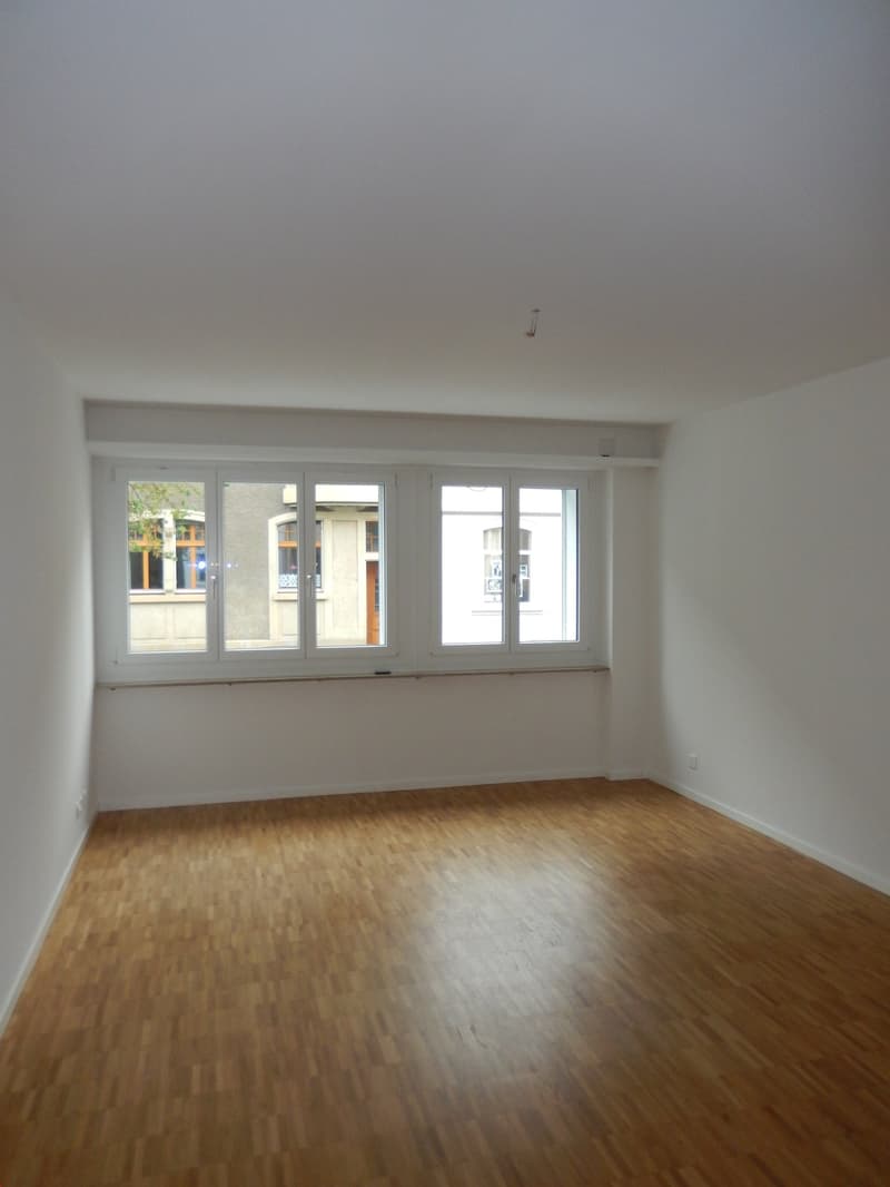 Wohntraum mitten in der City (5)