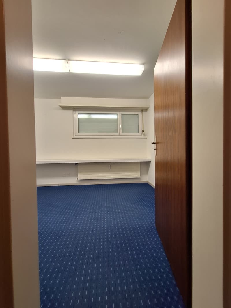 Hobby-/Bastelraum/Atelier mit Vorplatz und WC-Anteil (4)