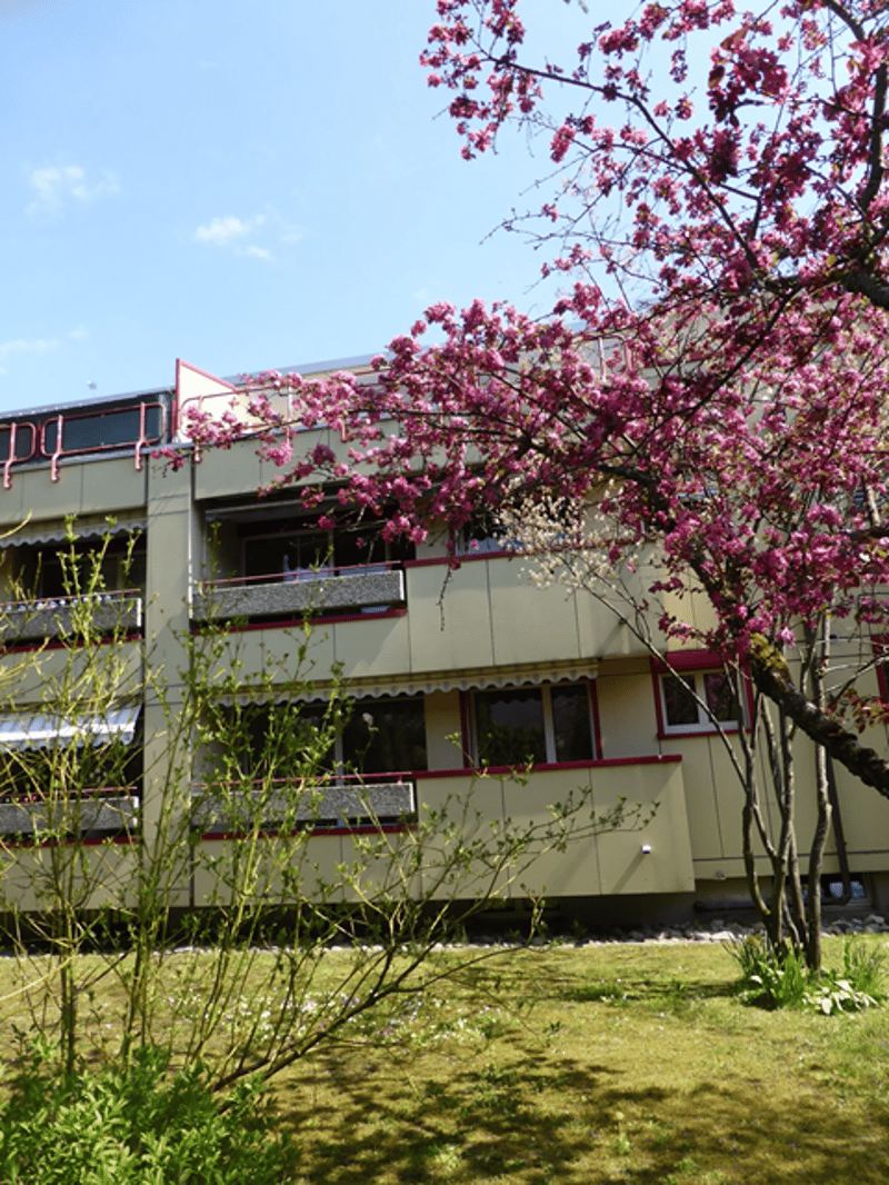 Westfassade
