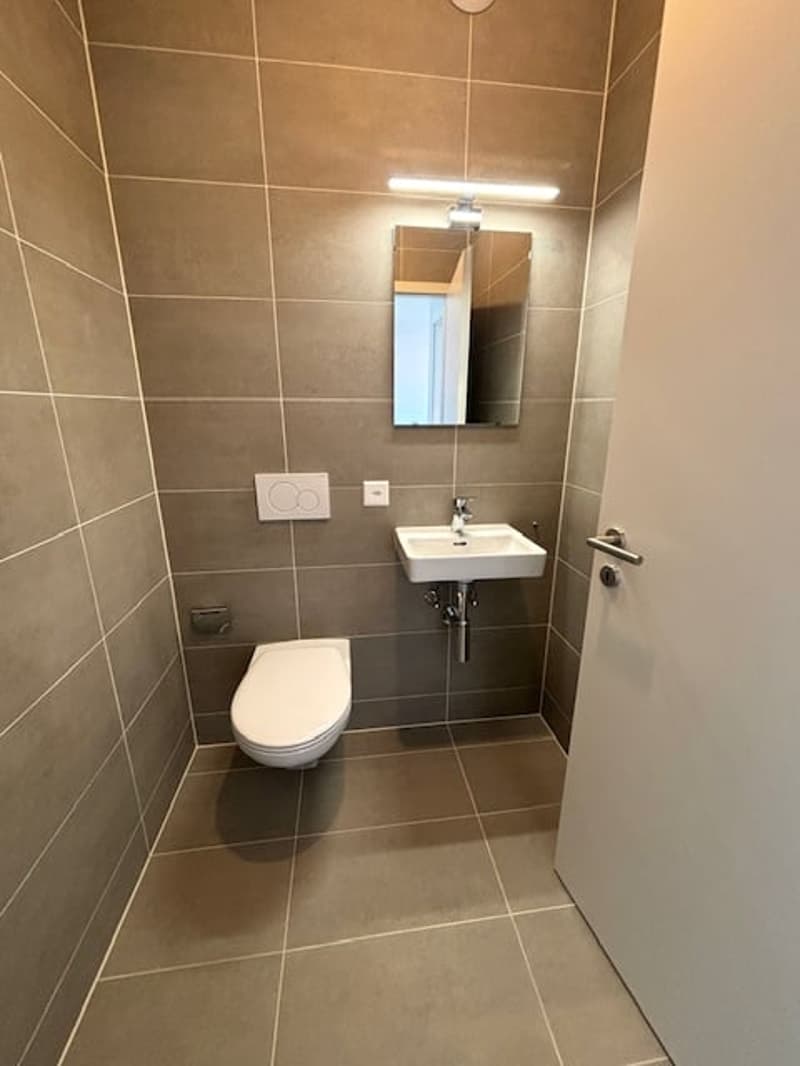 Magnifique appartement de 4,5 pièces au 7ème étage à Chavannes-près-Renens (8)