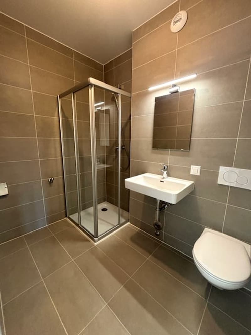 Magnifique appartement de 4,5 pièces au 7ème étage à Chavannes-près-Renens (7)