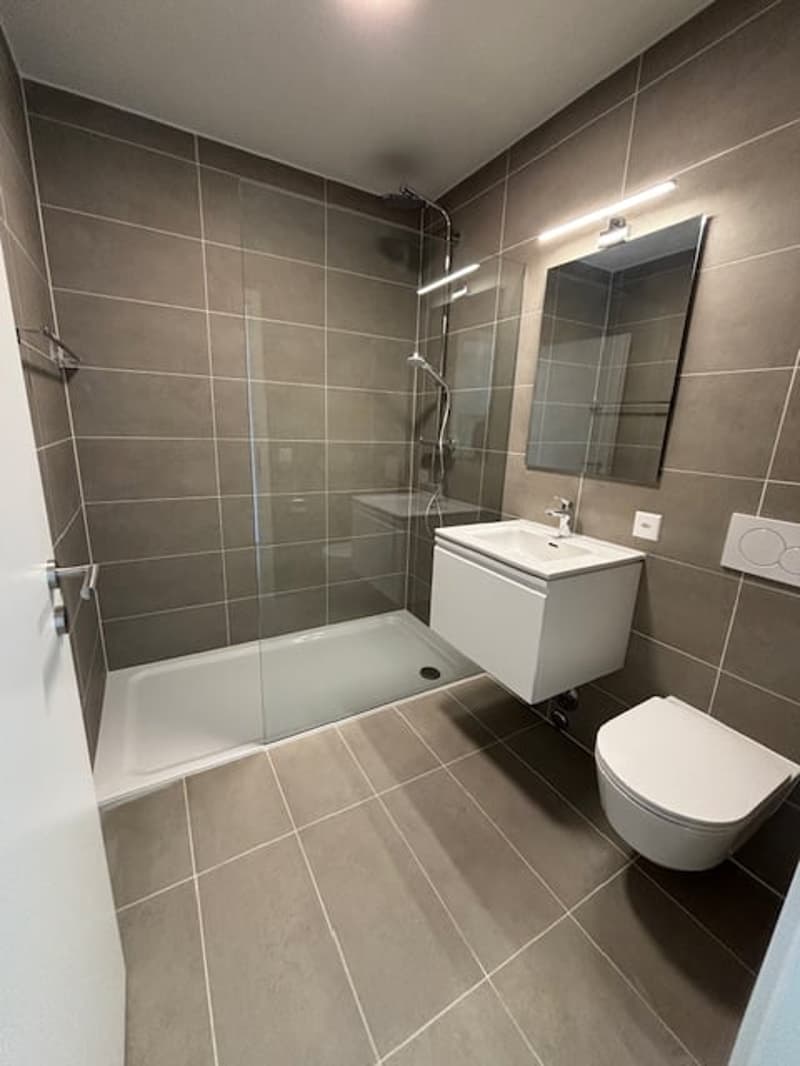 modern bathroom with shower, toilet, sink, mirror, tiled walls and floor