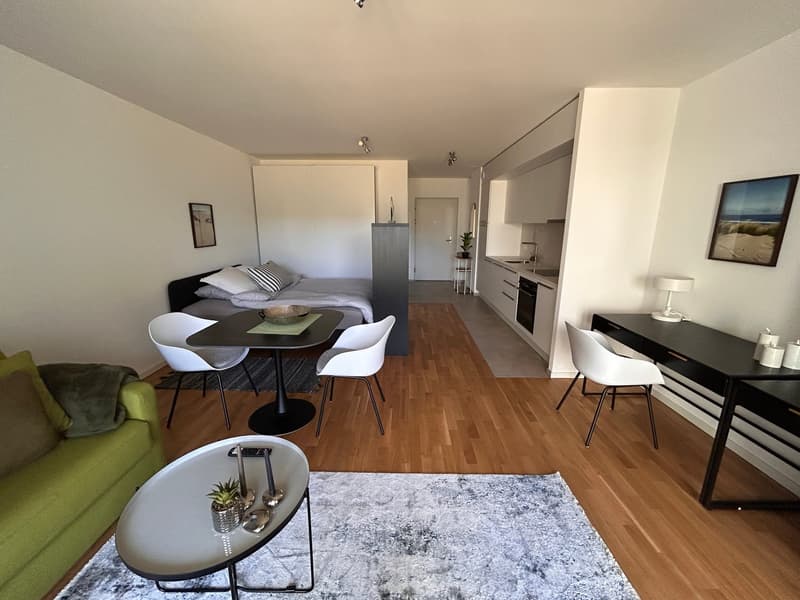 Studio meublé proche de l'PEFL et l'UNIL à Chavannes-près-Renens (2)
