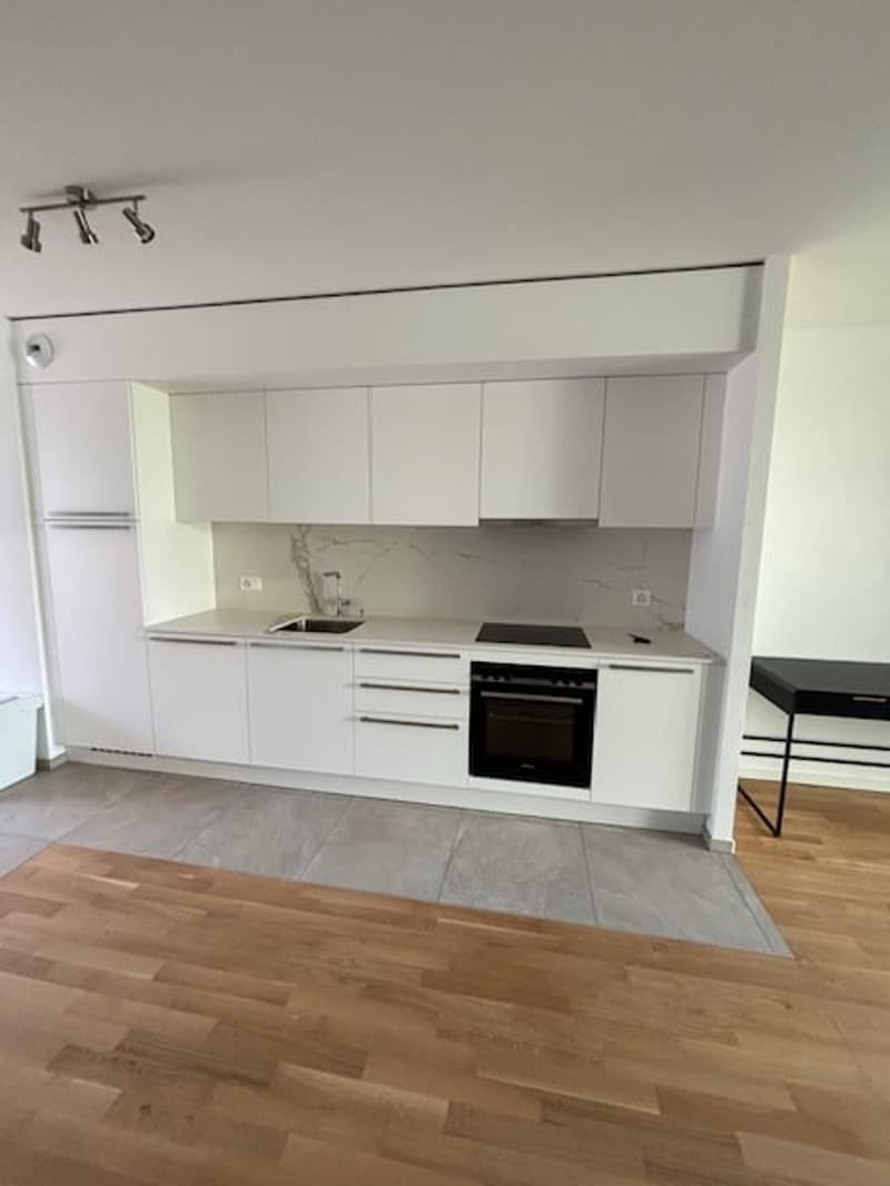 modern kitchen with white cabinets, wooden floor, granite countertop, built-in oven and sink