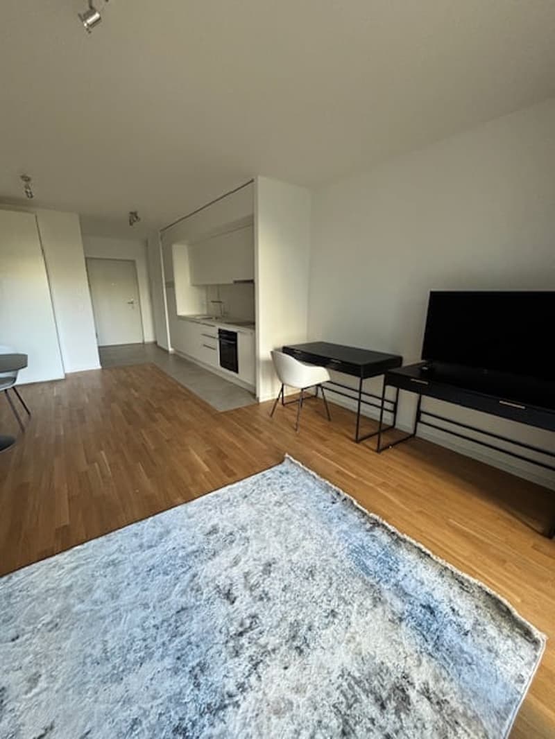 Open plan living room and kitchen, wooden floor, white walls, desk, chair, TV, rug, cabinets, countertop, sink, oven