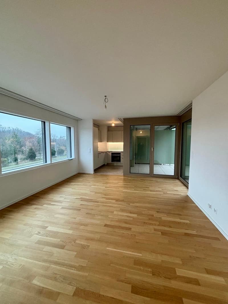 Magnifique studio en location à Chavannes-près-Renens (2)