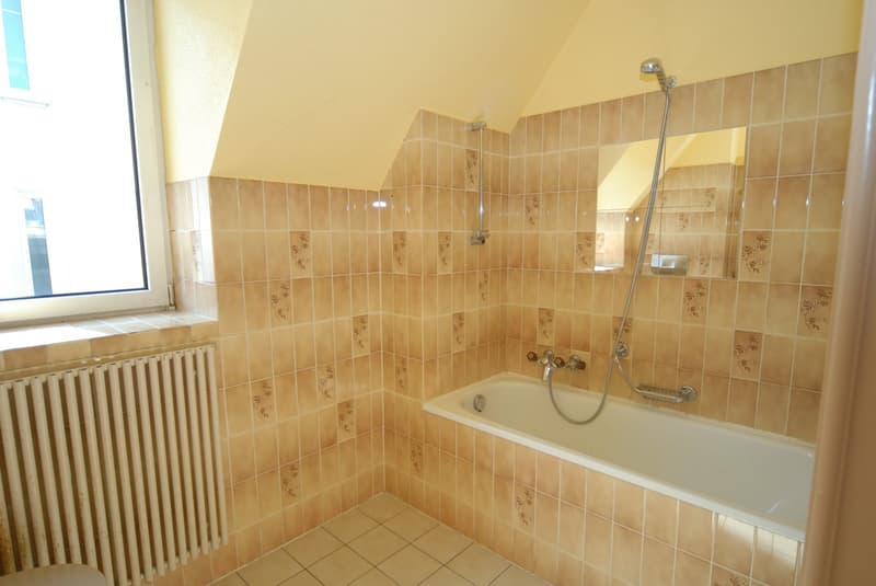Grand appartement 3.5 pces, cheminée, possibilité d'un garage (7)