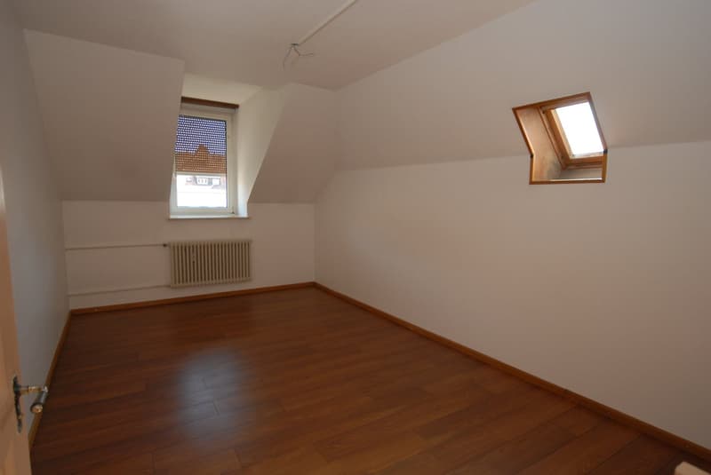 Grand appartement 3.5 pces, cheminée, possibilité d'un garage (4)