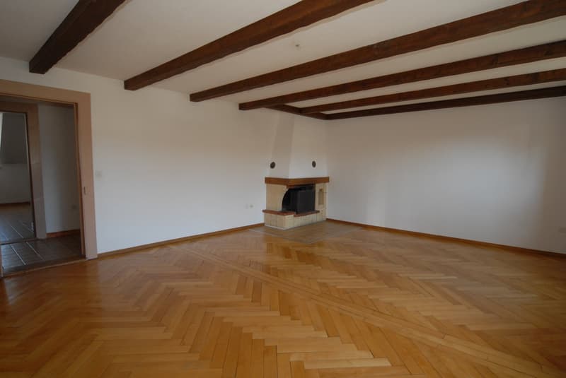 Grand appartement 3.5 pces, cheminée, possibilité d'un garage (2)