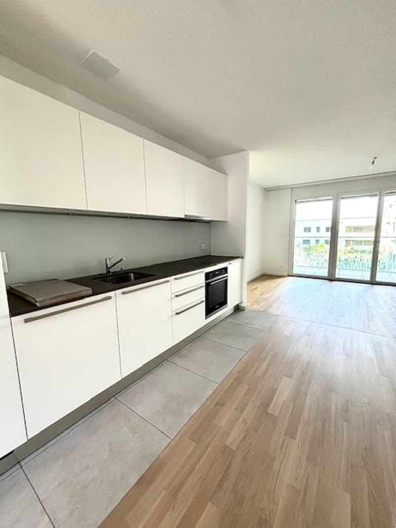 Magnifique studio en location à Chavannes-près-Renens (2)