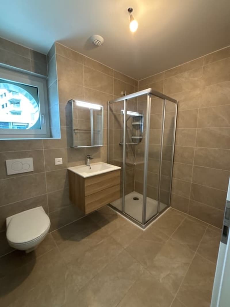 Magnifique studio en location à Chavannes-près-Renens (4)