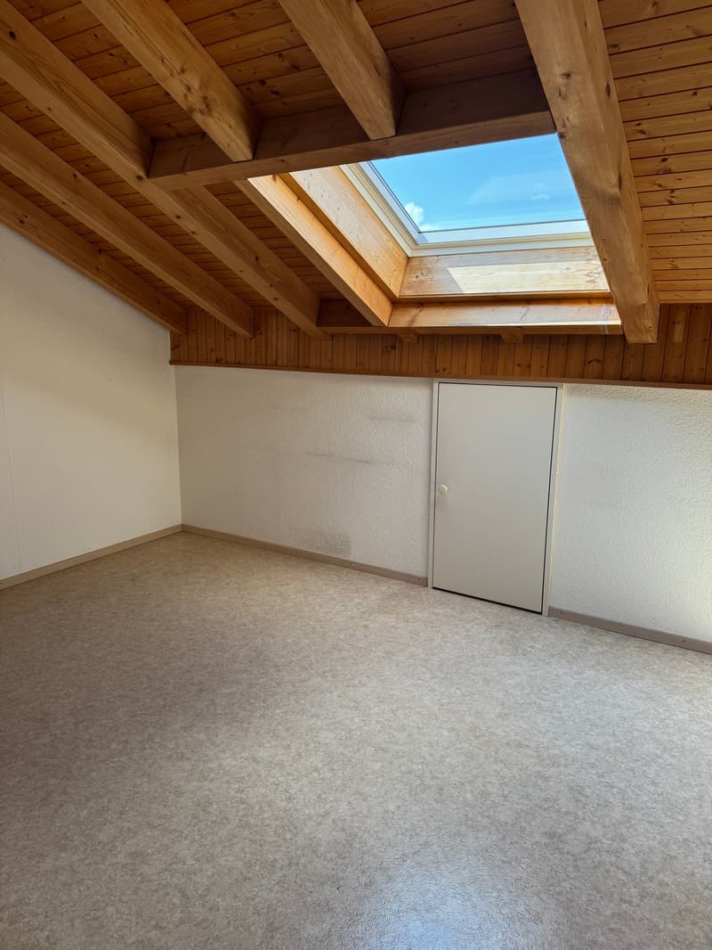large wooden beams, wooden flooring, white walls, white door, window with skylight