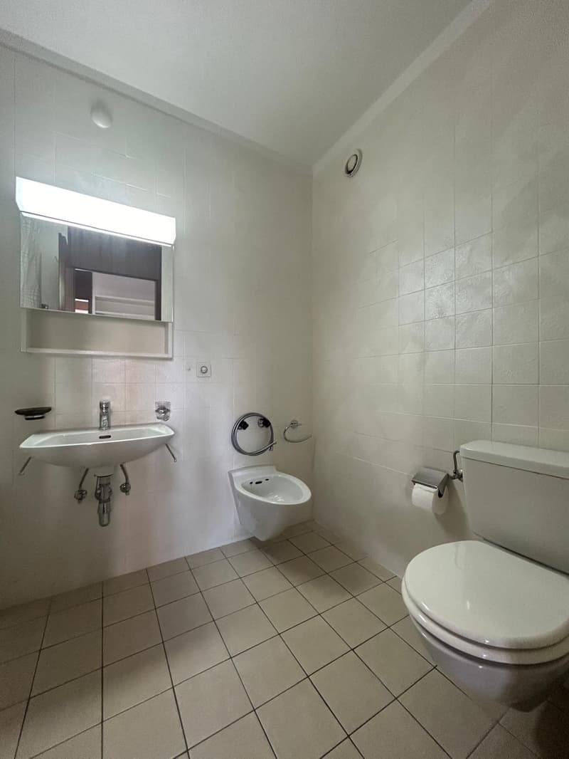 White tiled walls, sink, bidet, toilet, mirror, toilet paper holder