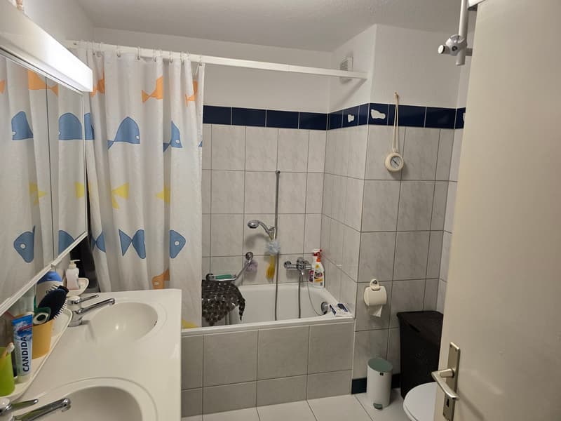 Bad / Dusche /WC