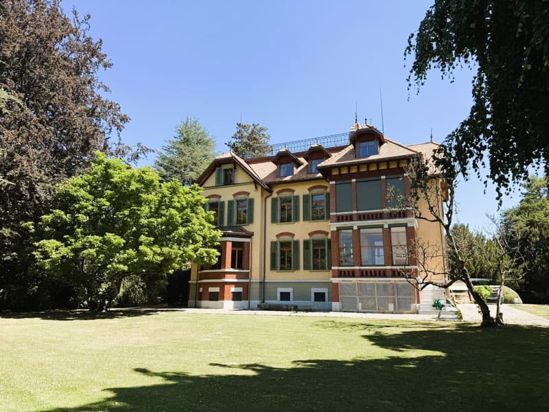Einmalige 3.5 Zi.-Whg. in sanierter Villa (2)