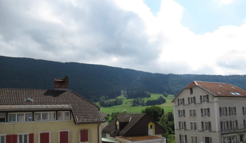 Houses with brown roofs, green valley, mountain in the background