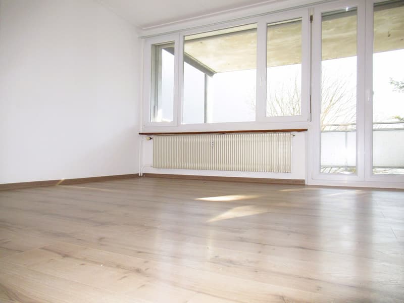 empty room, white walls, wooden floor, large windows, balcony