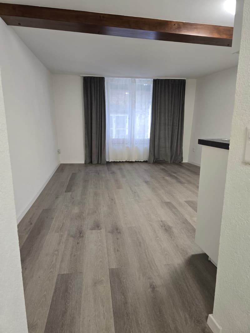 Très joli appartement 1 pièce rénové ** 1ère location ** (2)