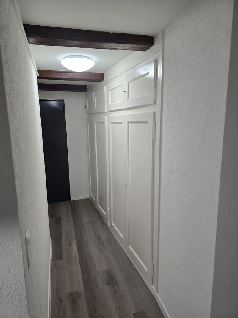 Très joli appartement 1 pièce rénové ** 1ère location ** (4)