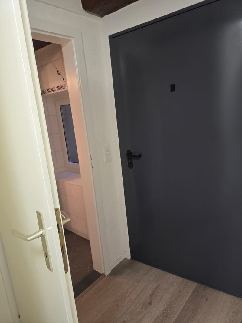 Très joli appartement 1 pièce rénové ** 1ère location ** (9)