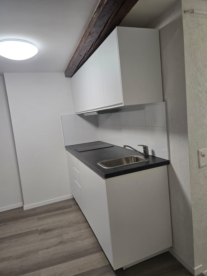 Très joli appartement 1 pièce rénové ** 1ère location ** (3)