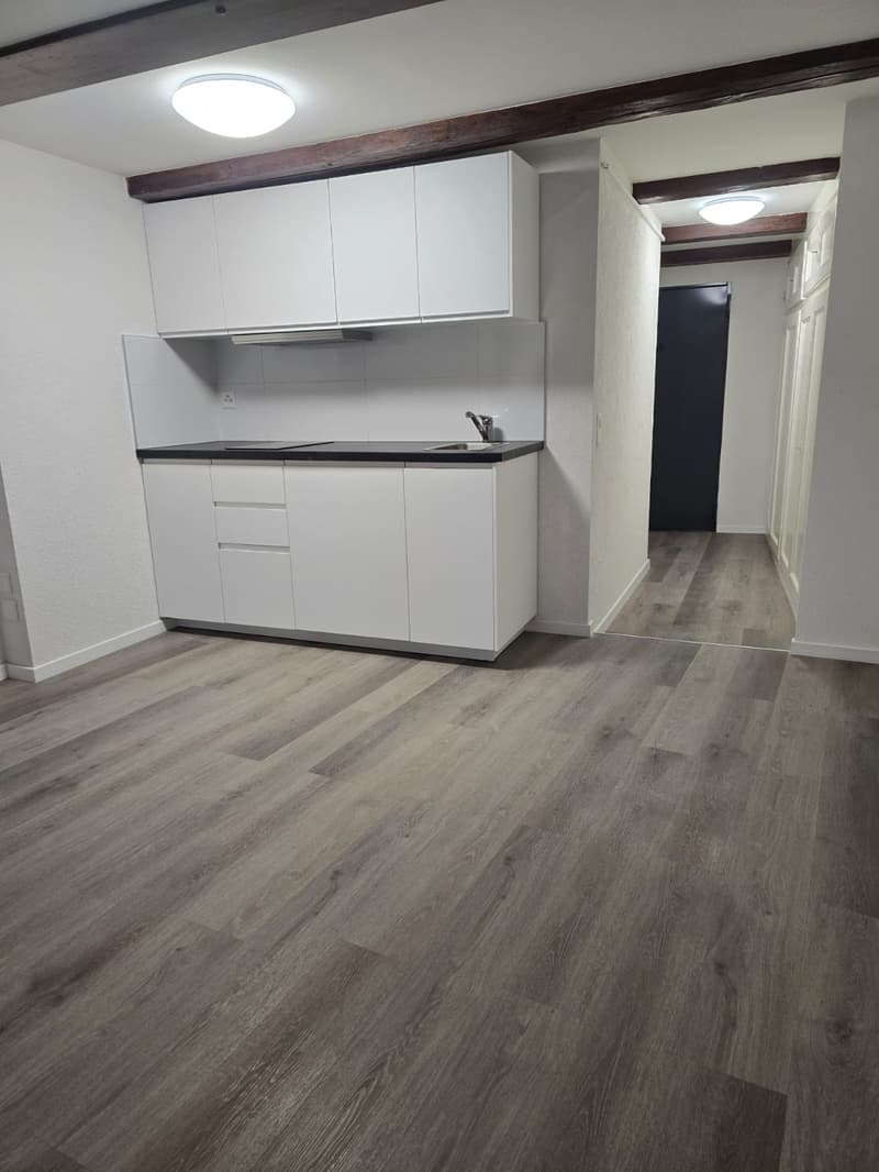 Très joli appartement 1 pièce rénové ** 1ère location ** (1)