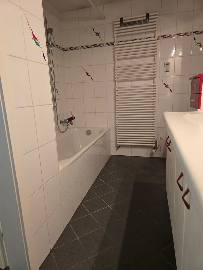 Très joli appartement 1 pièce rénové ** 1ère location ** (7)