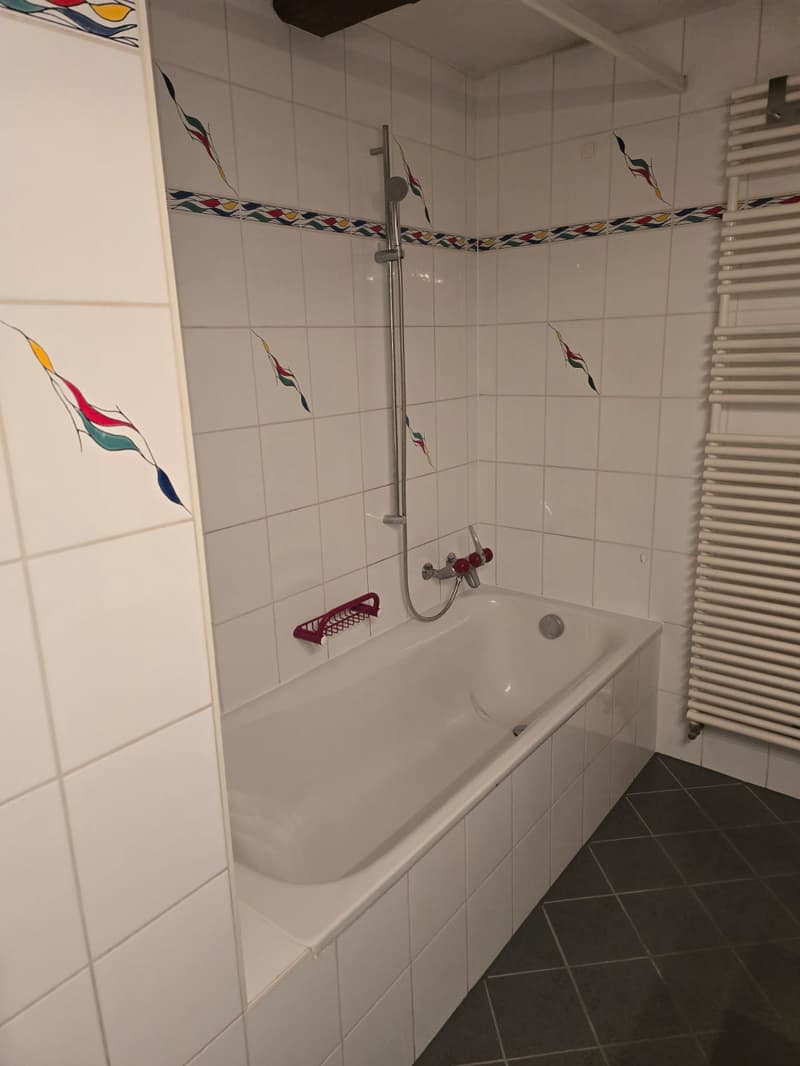 Très joli appartement 1 pièce rénové ** 1ère location ** (6)