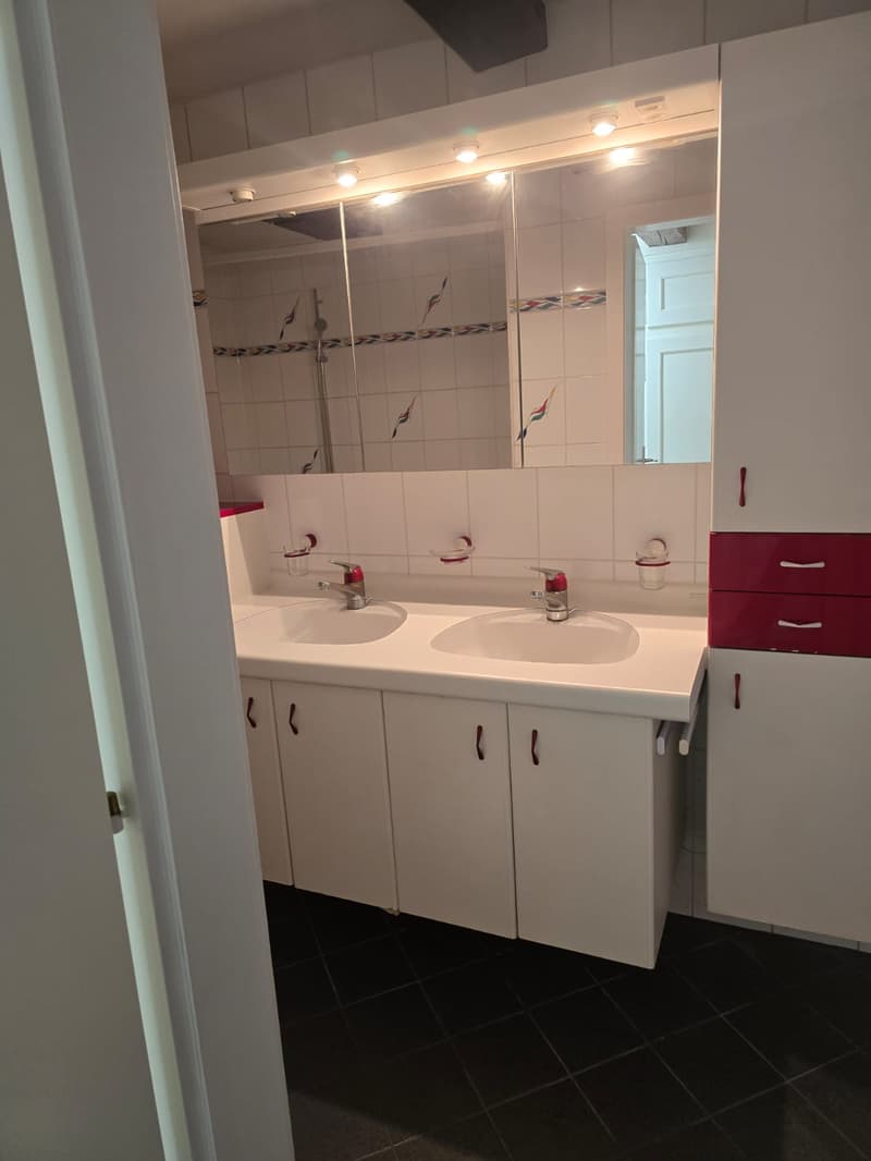 Très joli appartement 1 pièce rénové ** 1ère location ** (5)