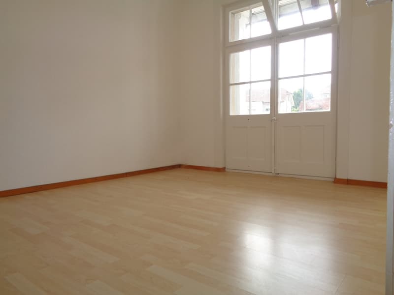 Bel appartement avec grand balcon (4)