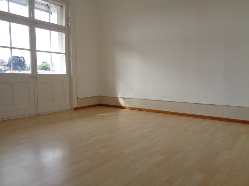 Bel appartement avec grand balcon (5)