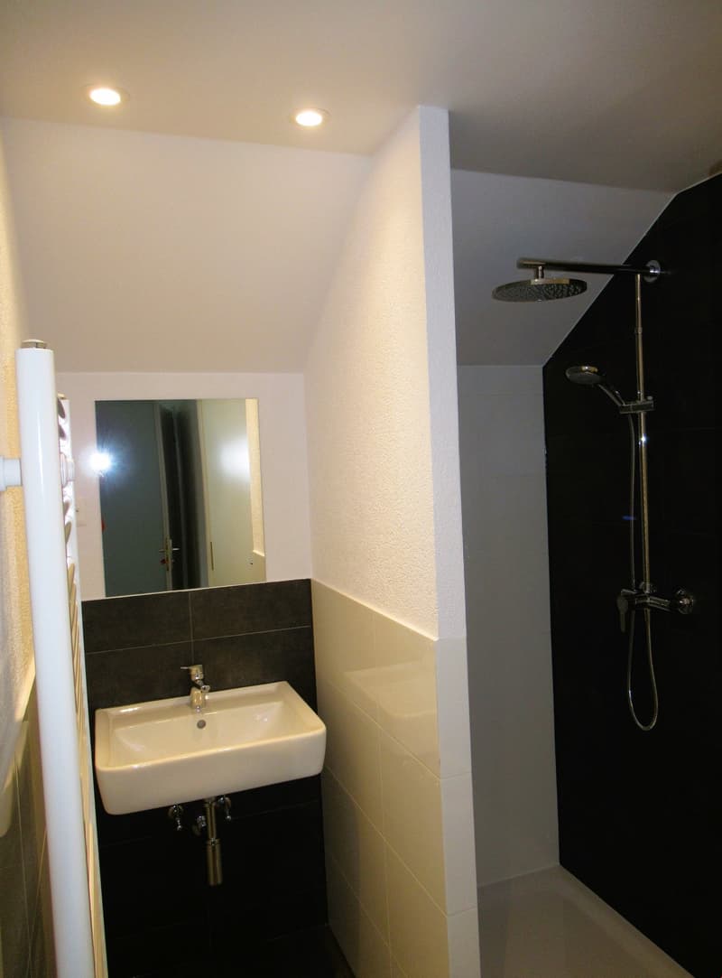 Appartement moderne et lumineux (2)