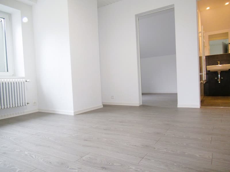 Appartement moderne et lumineux (3)