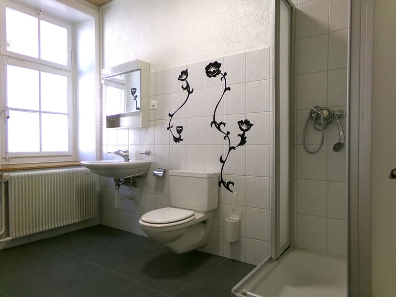 Nouvel Appartment à 15 minutes de Bienne (3)