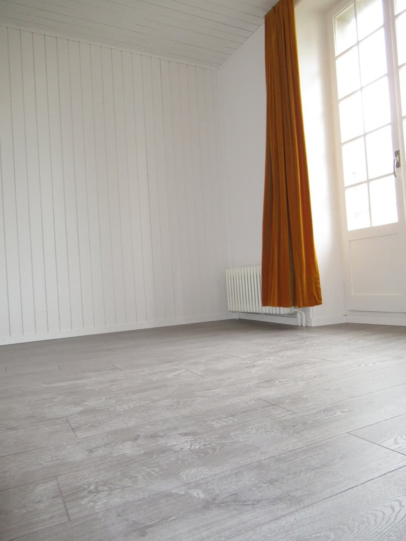 Appartement 1 pièce rénové à 10 min. de Bienne (1)