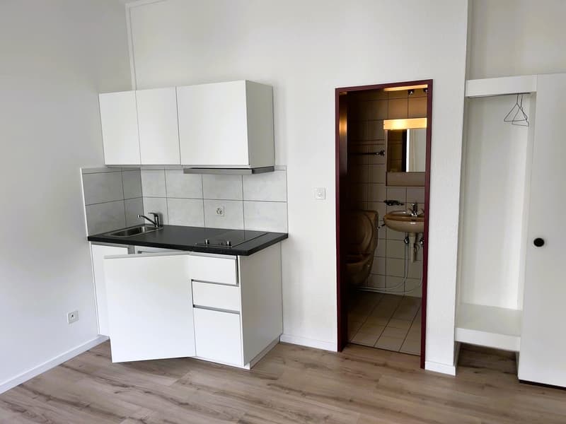 Appartement 1 pce moderne et lumineux * 10 min. de La Chaux-de-Fonds * (1)