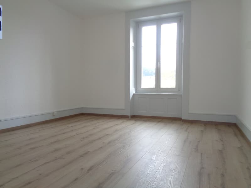 Dans quartier calme, appartement entièrement rénové (1)