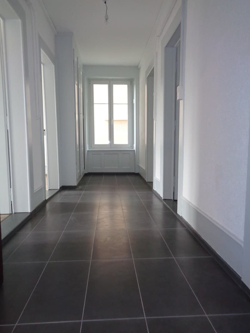 Dans quartier calme, appartement entièrement rénové (7)
