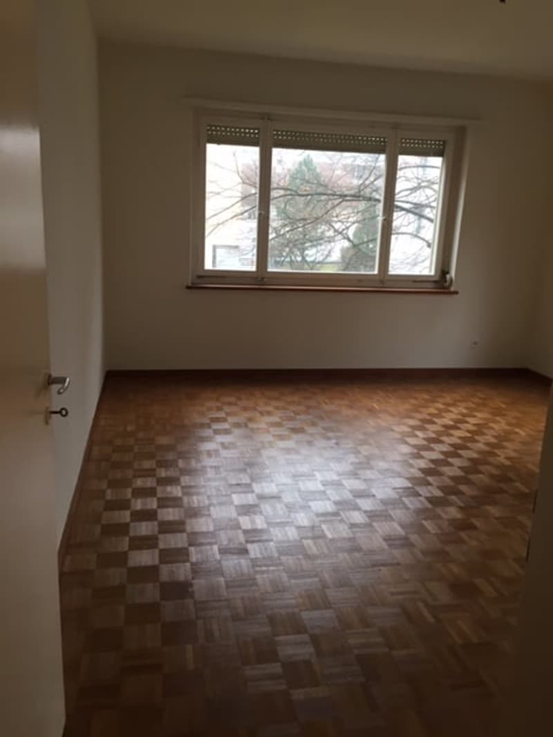 Wunderschöne, grosszügige, ruhige + sonnige 2.5 ZIMMER-WOHNUNG (15)
