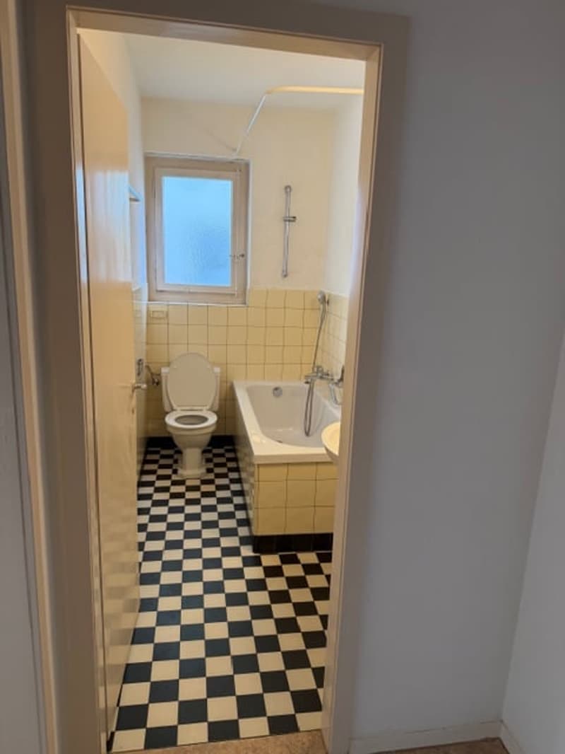 Wunderschöne, grosszügige, ruhige + sonnige 2.5 ZIMMER-WOHNUNG (36)