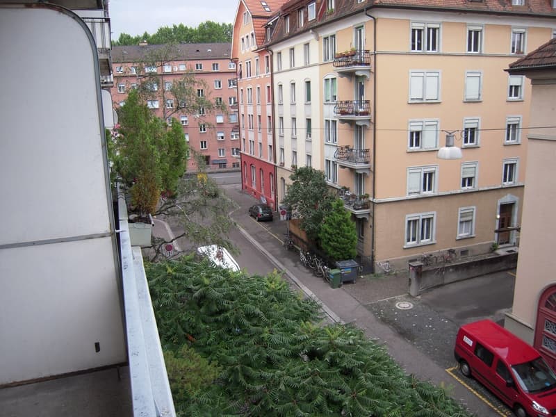 Wunderschöne, grosszügige, ruhige + sonnige 2.5 ZIMMER-WOHNUNG (7)