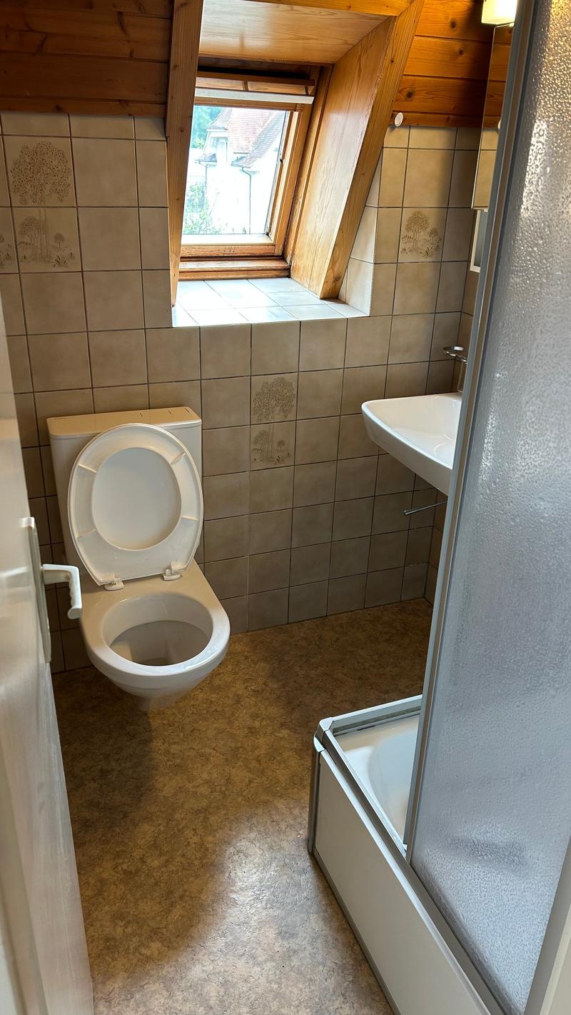 Bathroom with a toilet, sink, shower, and a window.