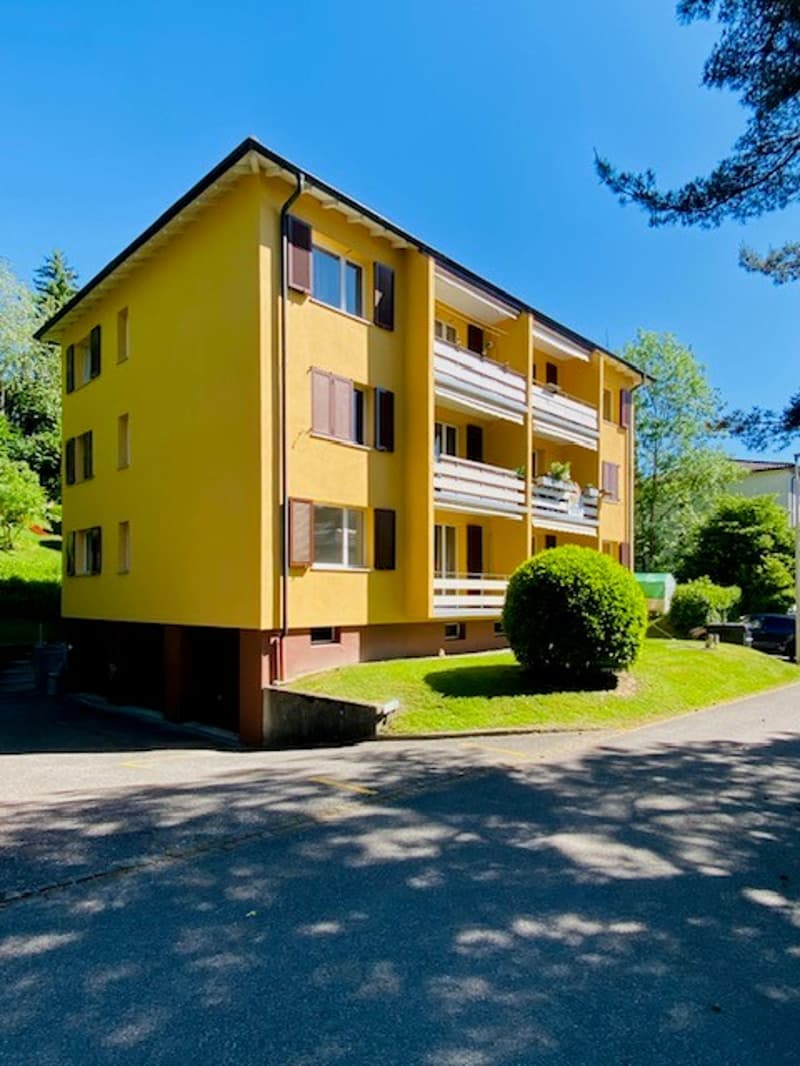 Charmante 3-Zimmer-Wohnung mit Balkon und schöner Aussicht in Attiswil (2)
